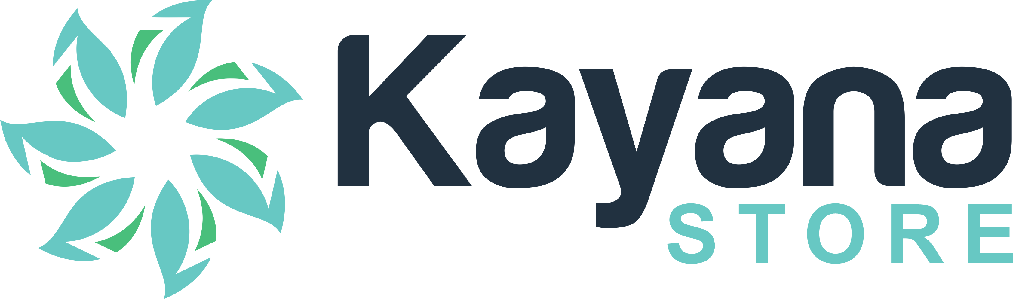 Kayana Store